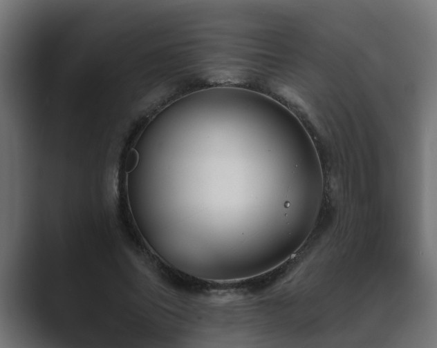 X0000089660686200706281321