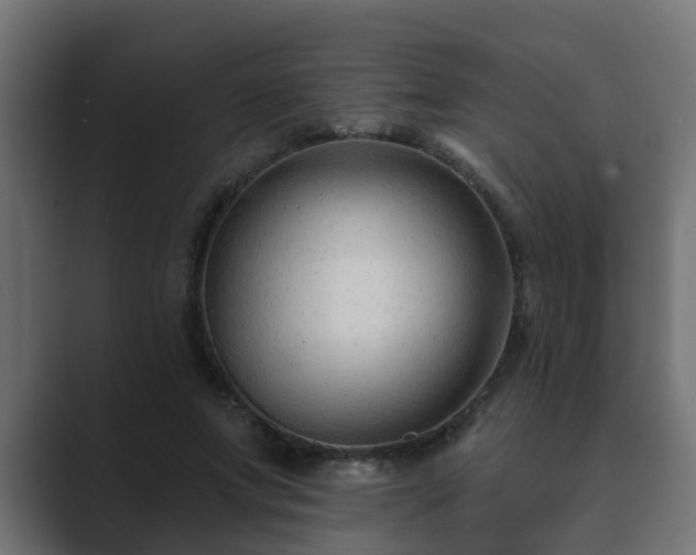 X0000089660687200706281321