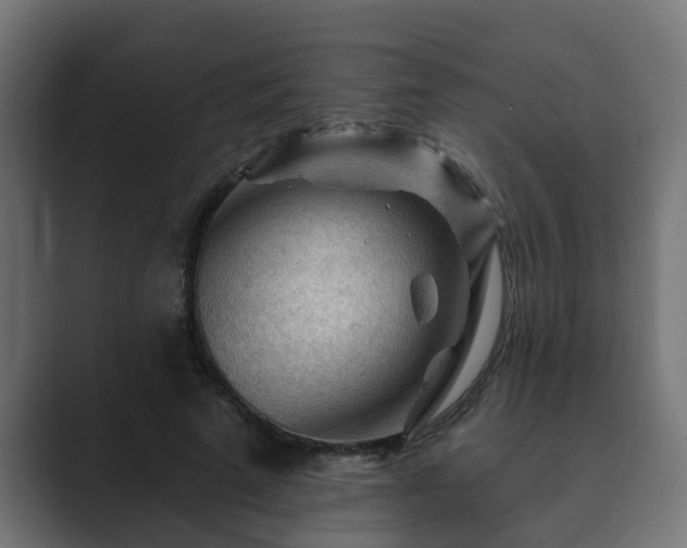 X0000089660689200706281321