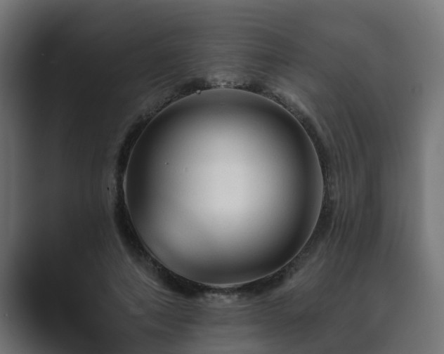 X0000089660690200706281321