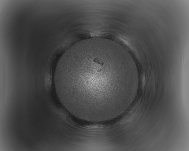 X0000089660691200706281321