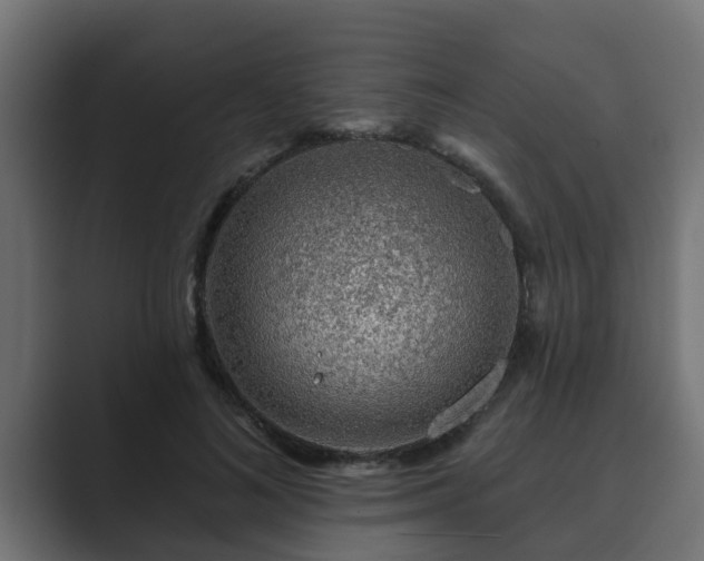 X0000089660692200706281321