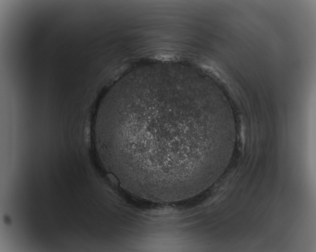 X0000089660696200706281321