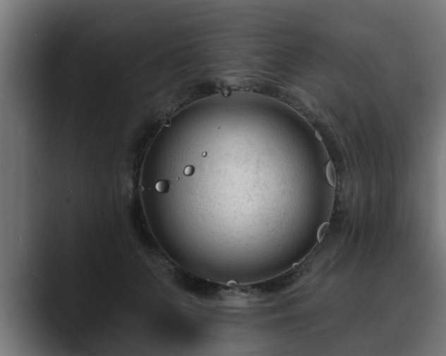 X0000089660703200706281321