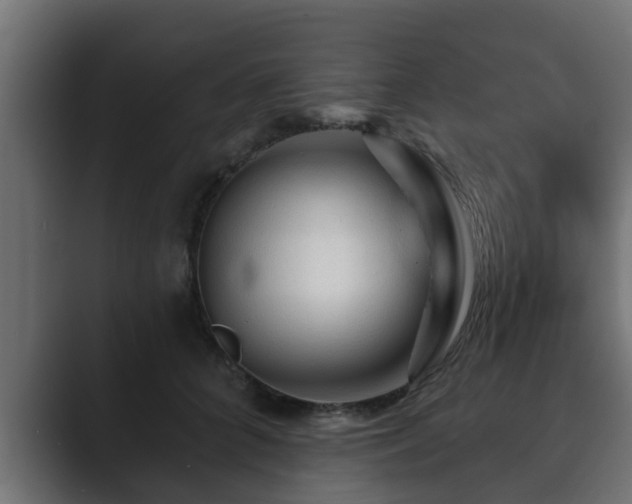 X0000089660704200706281321