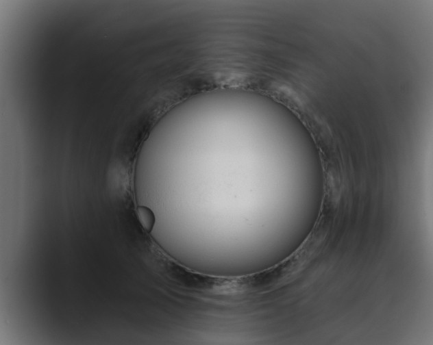 X0000089660705200706281321