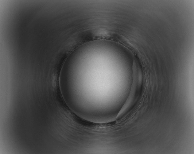 X0000089660708200706281321