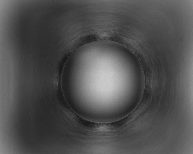 X0000089660710200706281321