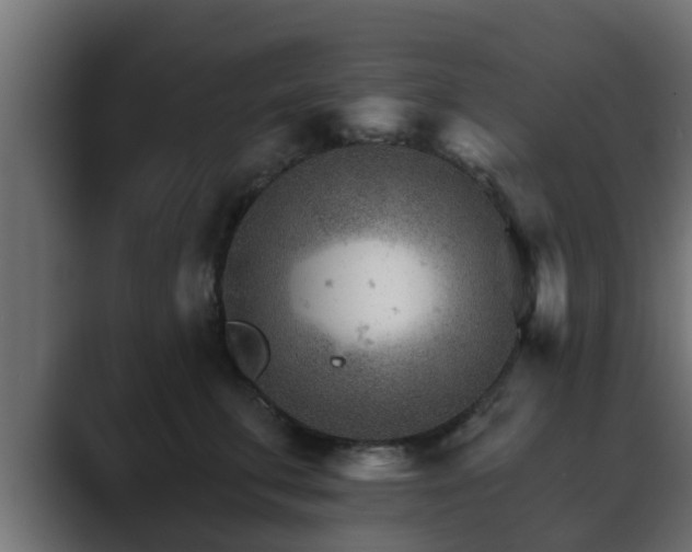 X0000089660711200706281321