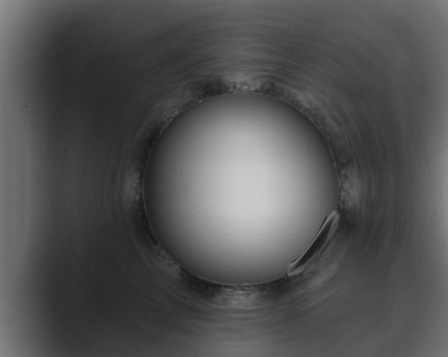 X0000089660713200706281321