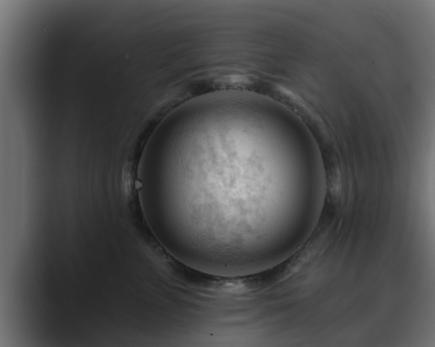 X0000089660715200706281321