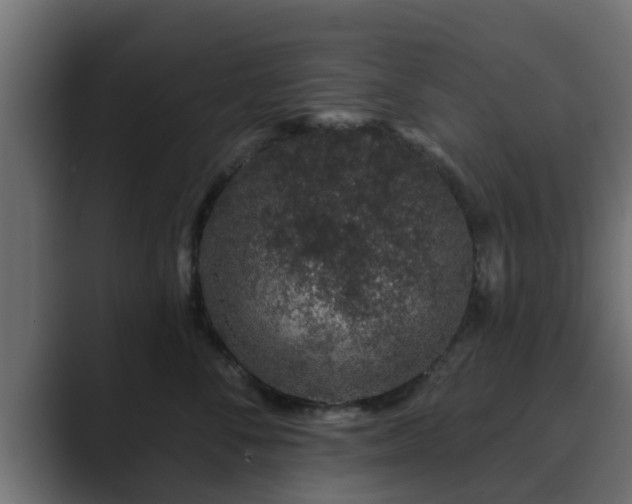 X0000089660716200706281321
