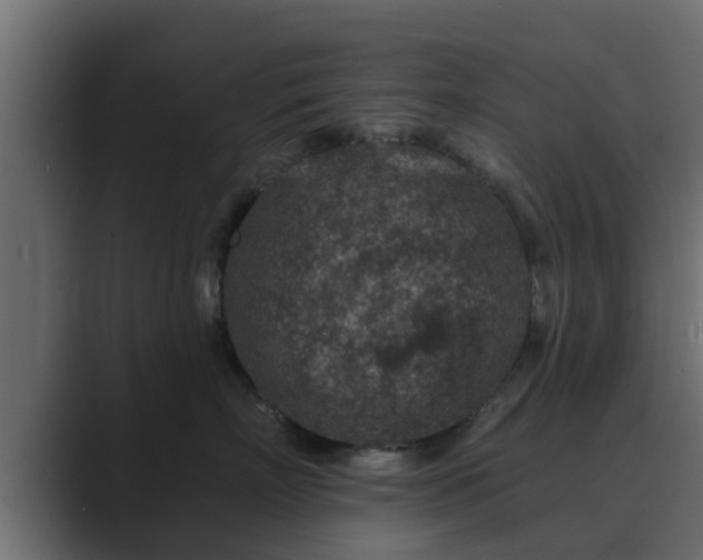 X0000089660718200706281321