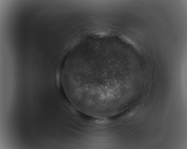 X0000089660720200706281321