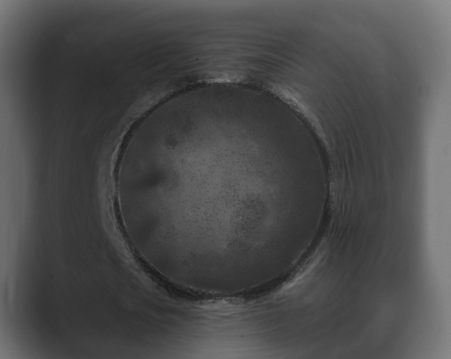 X0000089660721200706281320