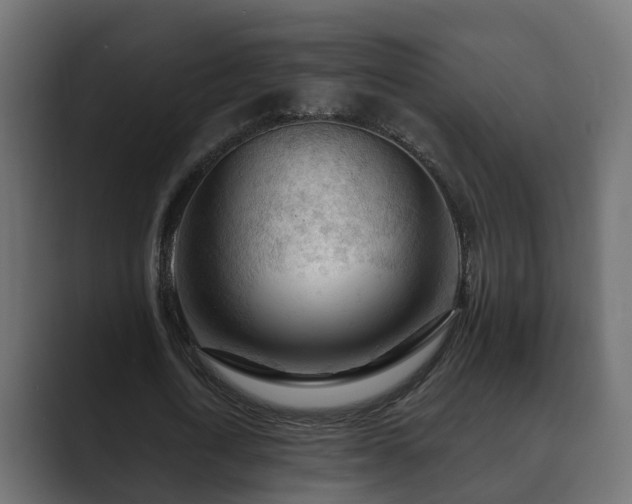 X0000089660722200706281320