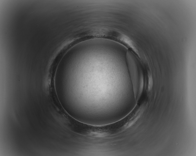 X0000089660723200706281320