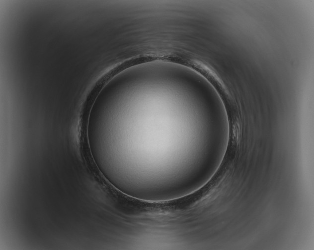 X0000089660724200706281321