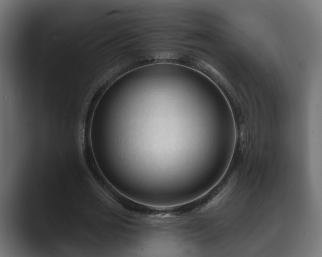 X0000089660725200706281321