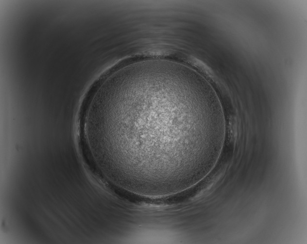 X0000089660726200706281321