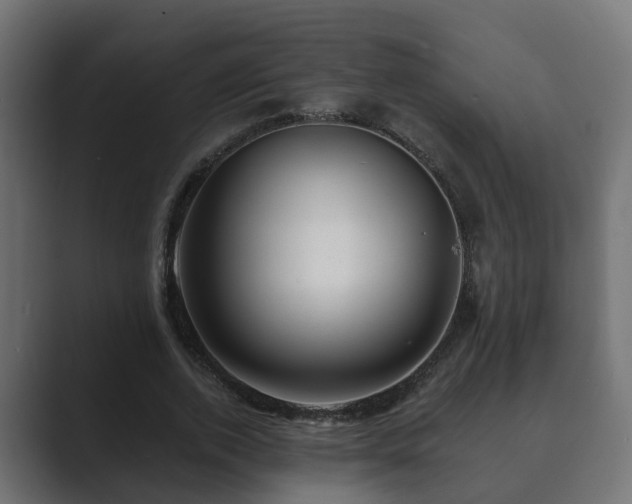 X0000089660728200706281321
