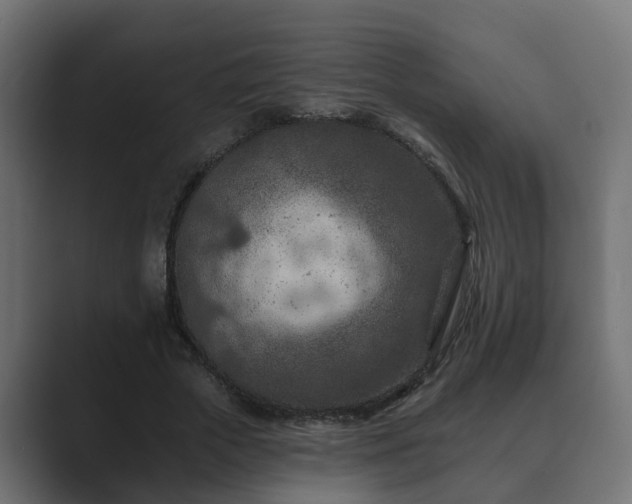X0000089660729200706281321