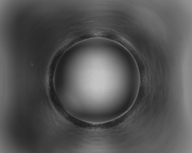 X0000089660730200706281321