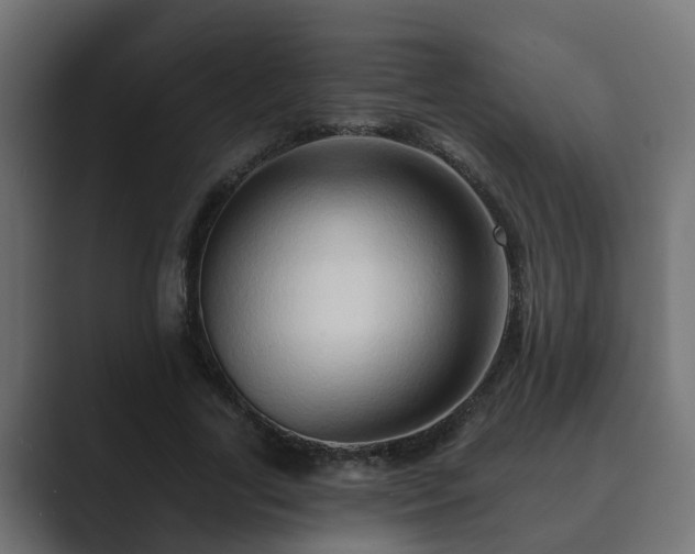 X0000089660731200706281321