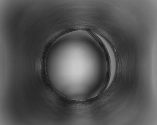 X0000089660732200706281321