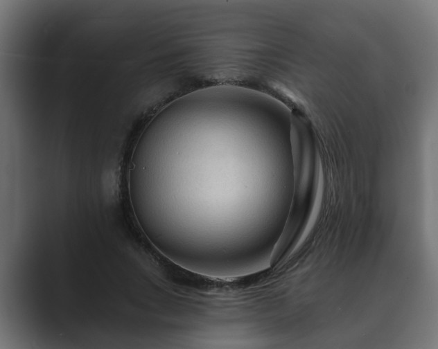 X0000089660735200706281321