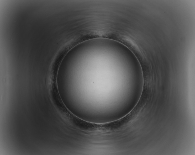 X0000089660736200706281321