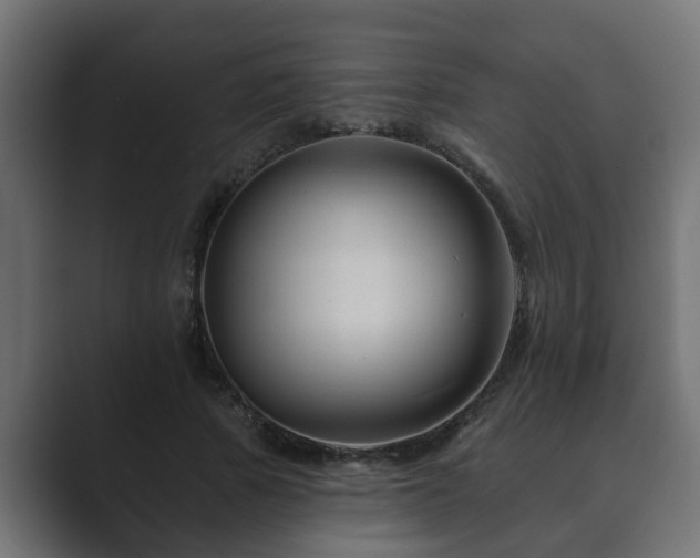 X0000089660737200706281321