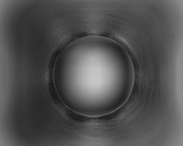 X0000089660738200706281321