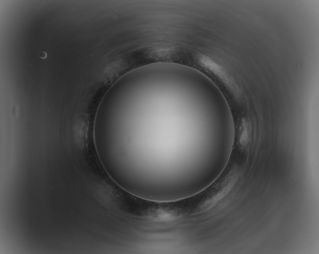 X0000089660739200706281321