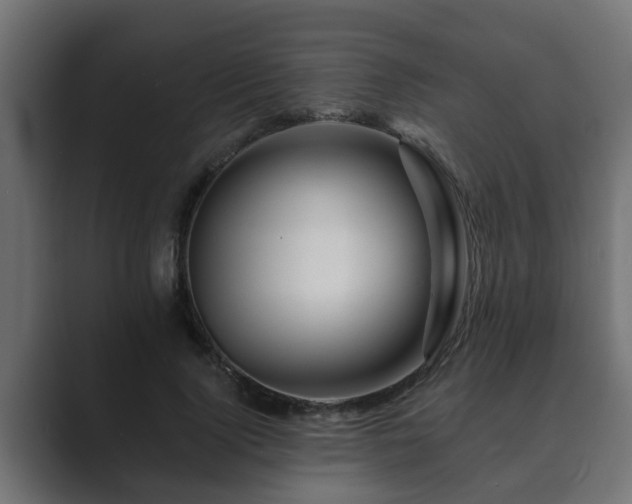 X0000089660740200706281321