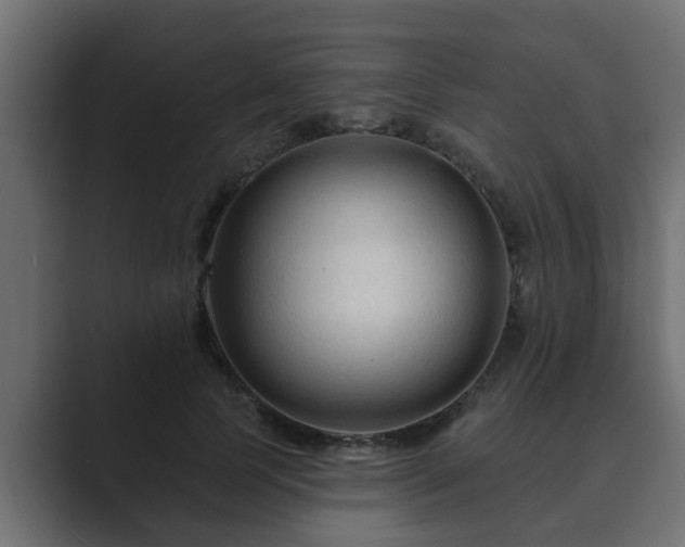X0000089660745200706281321
