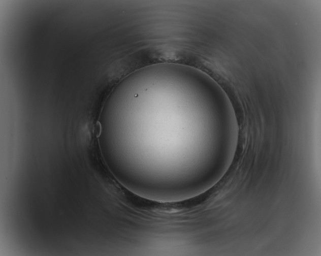 X0000089660747200706281321
