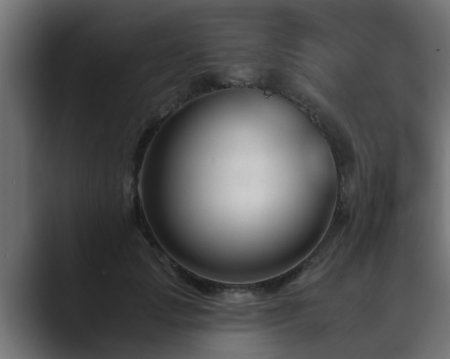 X0000089660749200706281321
