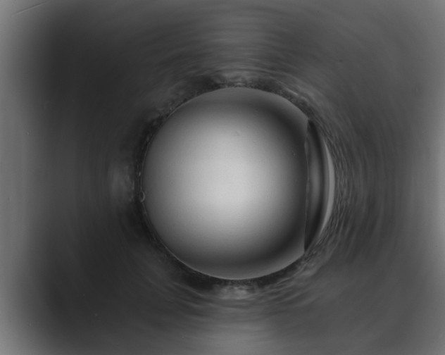 X0000089660751200706281321