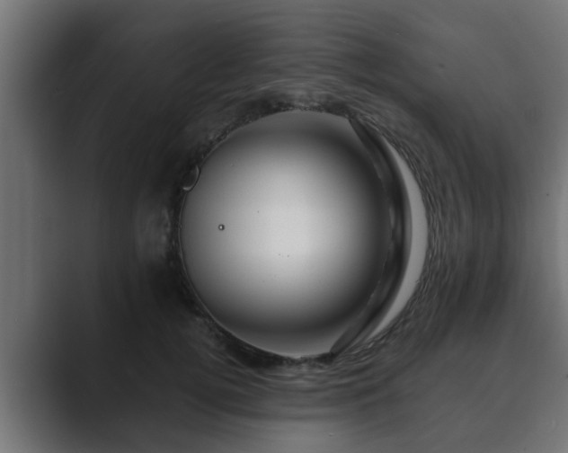 X0000089660752200706281321