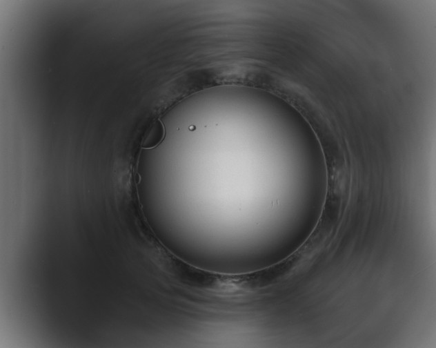 X0000089660753200706281321