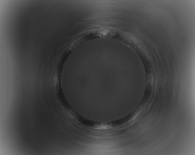 X0000089660754200706281321