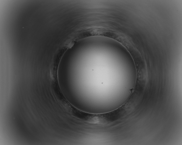 X0000089660755200706281321