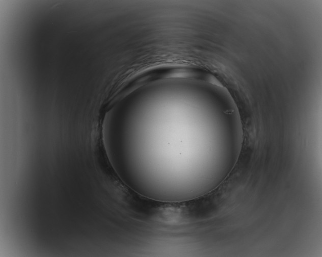 X0000089660756200706281321