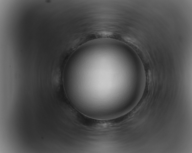 X0000089660760200706281321