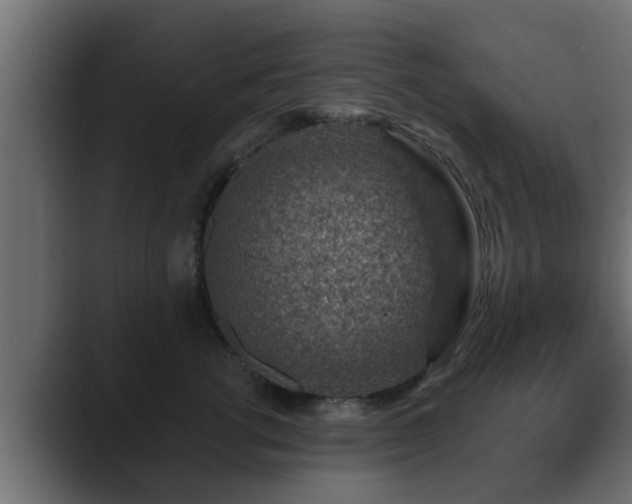 X0000089660762200706281321