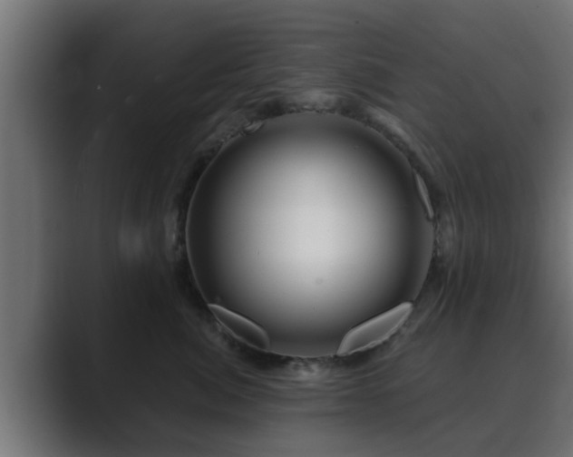 X0000089660764200706281321