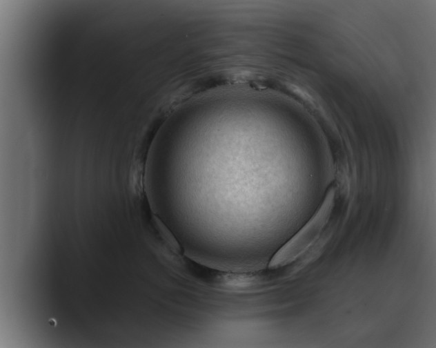 X0000089660766200706281321