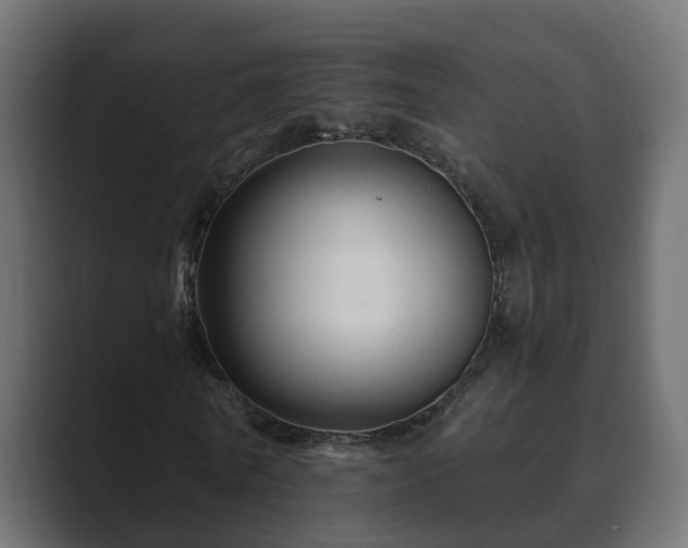 X0000089660770200706281320