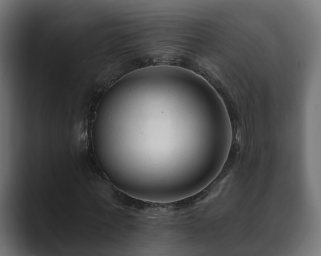 X0000089660771200706281320